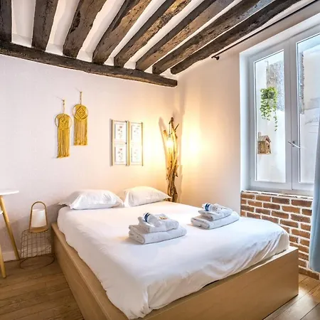 Chic Avec Patio - 2br 6p - Le Marais Paříž