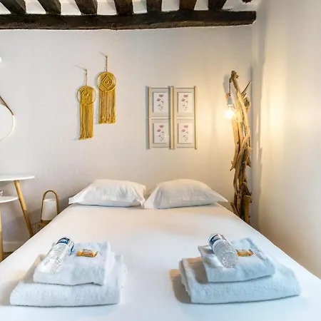 Chic Avec Patio - 2br 6p - Le Marais Paris